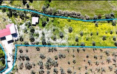 Torbalı Ormanköy’de 7 dönüm geniş arazi üzerinde 200 m² müstakil ev ile birlikte satılık tarla