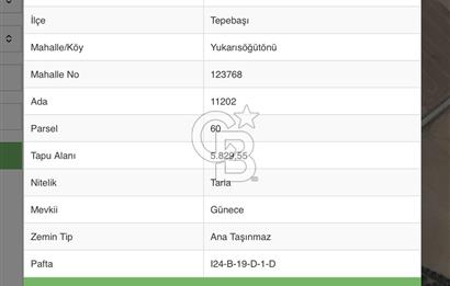 CB CITY’DEN ESKİŞEHİR YUKARISÖĞÜTÖNÜ’nde SATILIK YATIRIMLIK TARLA