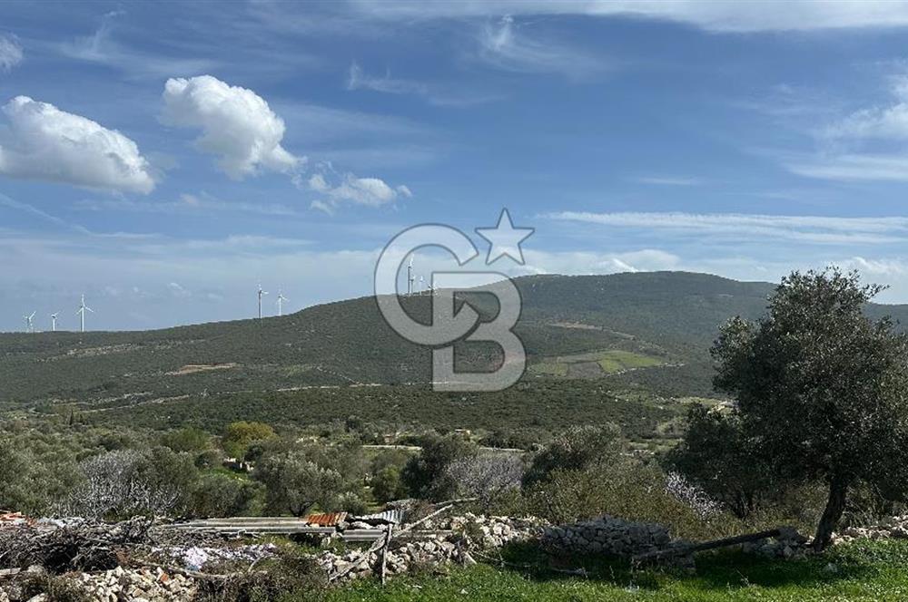 KARABURUN KÖSEDERE'DE SATILIK 6.469 METREKARE TARLA