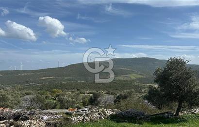 KARABURUN KÖSEDERE'DE SATILIK 6.469 METREKARE TARLA