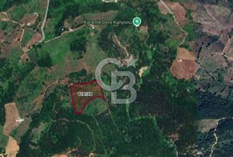 CB BLACK GEMLİK ŞÜKRİYE SATILIK 17.799M2 FIRSAT ARAZİ