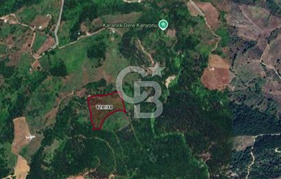 CB BLACK GEMLİK ŞÜKRİYE SATILIK 17.799M2 FIRSAT ARAZİ