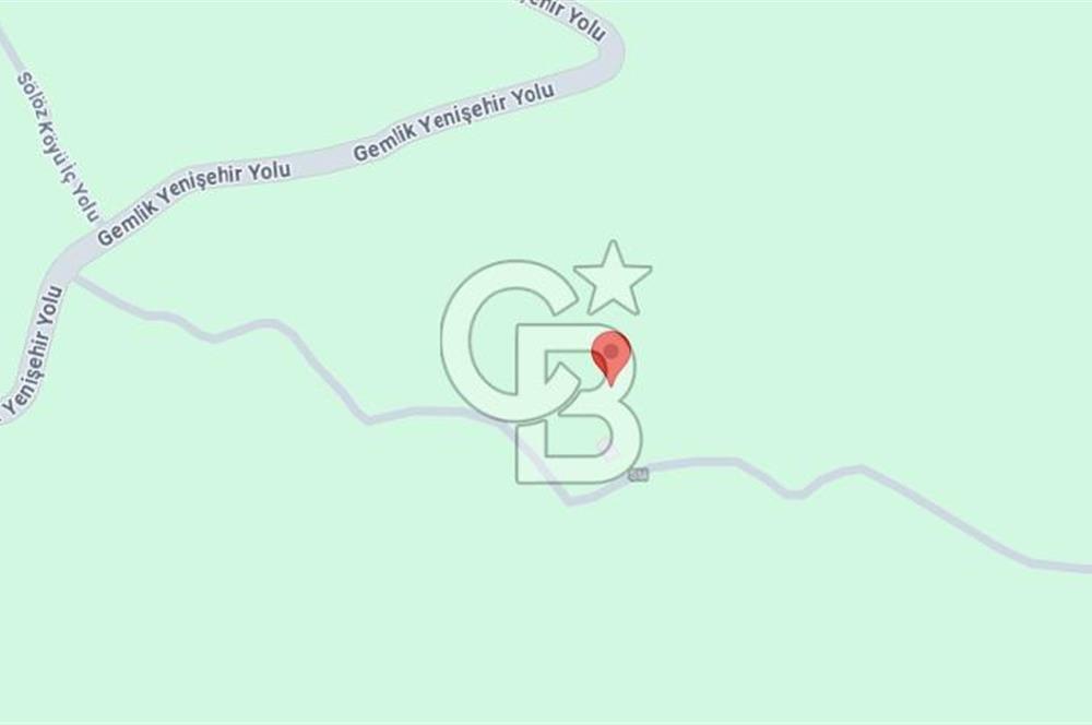 Bursa Orhangazi ilçesi Sölöz Köyü - Akçeşme Mevkiinde Satılık Zeytinlik.