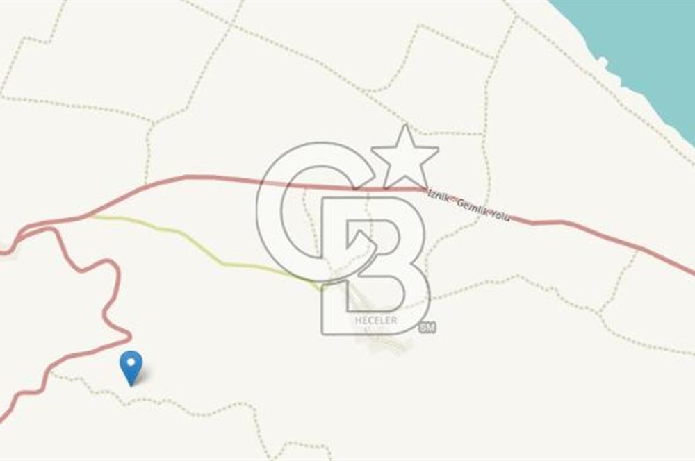 Bursa Orhangazi ilçesi Sölöz Köyü - Akçeşme Mevkiinde Satılık Zeytinlik.