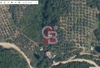 Bursa Orhangazi ilçesi Sölöz Köyü - Akçeşme Mevkiinde Satılık Zeytinlik.