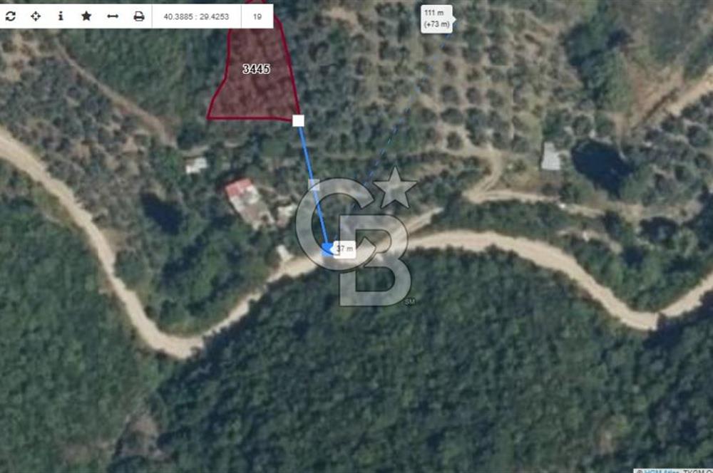 Bursa Orhangazi ilçesi Sölöz Köyü - Akçeşme Mevkiinde Satılık Zeytinlik.
