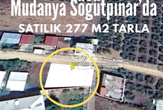 Bursa Mudanya Söğütpınar Mahallesi 277 m² Müstakil Tapulu Arazi (Tarla)