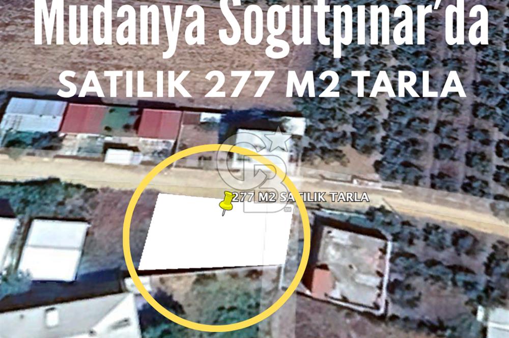 Bursa Mudanya Söğütpınar Mahallesi 277 m² Müstakil Tapulu Arazi (Tarla)