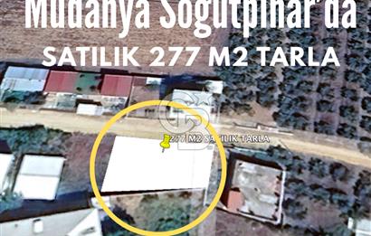 Bursa Mudanya Söğütpınar Mahallesi 277 m² Müstakil Tapulu Arazi (Tarla)