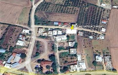 Bursa Mudanya Söğütpınar Mahallesi 277 m² Müstakil Tapulu Arazi (Tarla)