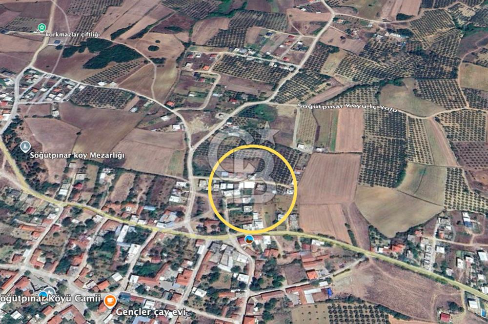 Bursa Mudanya Söğütpınar Mahallesi 277 m² Müstakil Tapulu Arazi (Tarla)