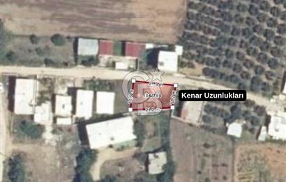 Bursa Mudanya Söğütpınar Mahallesi 277 m² Müstakil Tapulu Arazi (Tarla)
