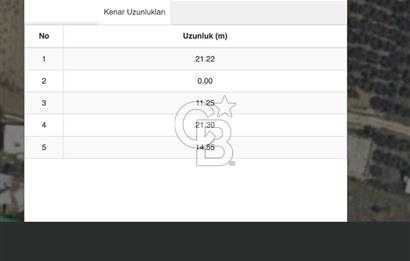 Bursa Mudanya Söğütpınar Mahallesi 277 m² Müstakil Tapulu Arazi (Tarla)