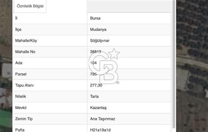 Bursa Mudanya Söğütpınar Mahallesi 277 m² Müstakil Tapulu Arazi (Tarla)