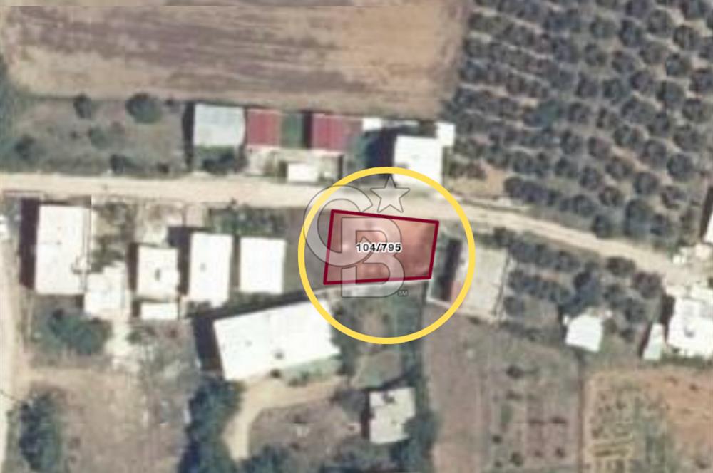 Bursa Mudanya Söğütpınar Mahallesi 277 m² Müstakil Tapulu Arazi (Tarla)