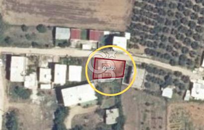 Bursa Mudanya Söğütpınar Mahallesi 277 m² Müstakil Tapulu Arazi (Tarla)