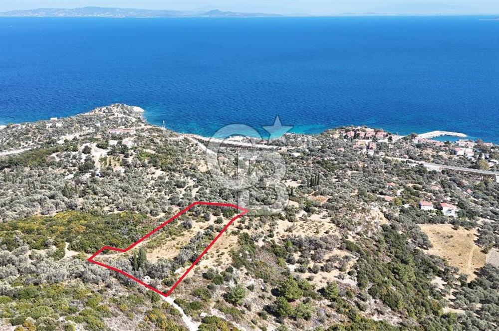 KARABURUN İNECİK'TE DENIZ MANZARALI SATILIK 5.820 M2 TARLA