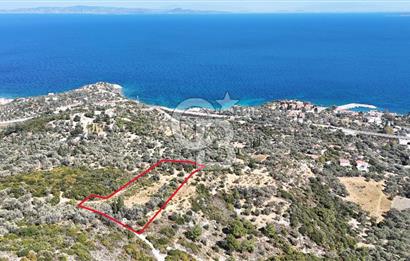KARABURUN İNECİK'TE DENIZ MANZARALI SATILIK 5.820 M2 TARLA
