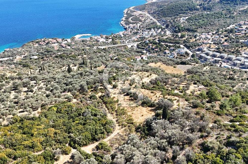 KARABURUN İNECİK'TE DENIZ MANZARALI SATILIK 5.820 M2 TARLA