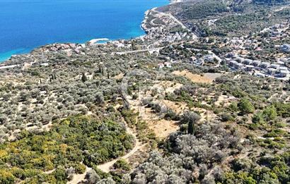 KARABURUN İNECİK'TE DENIZ MANZARALI SATILIK 5.820 M2 TARLA