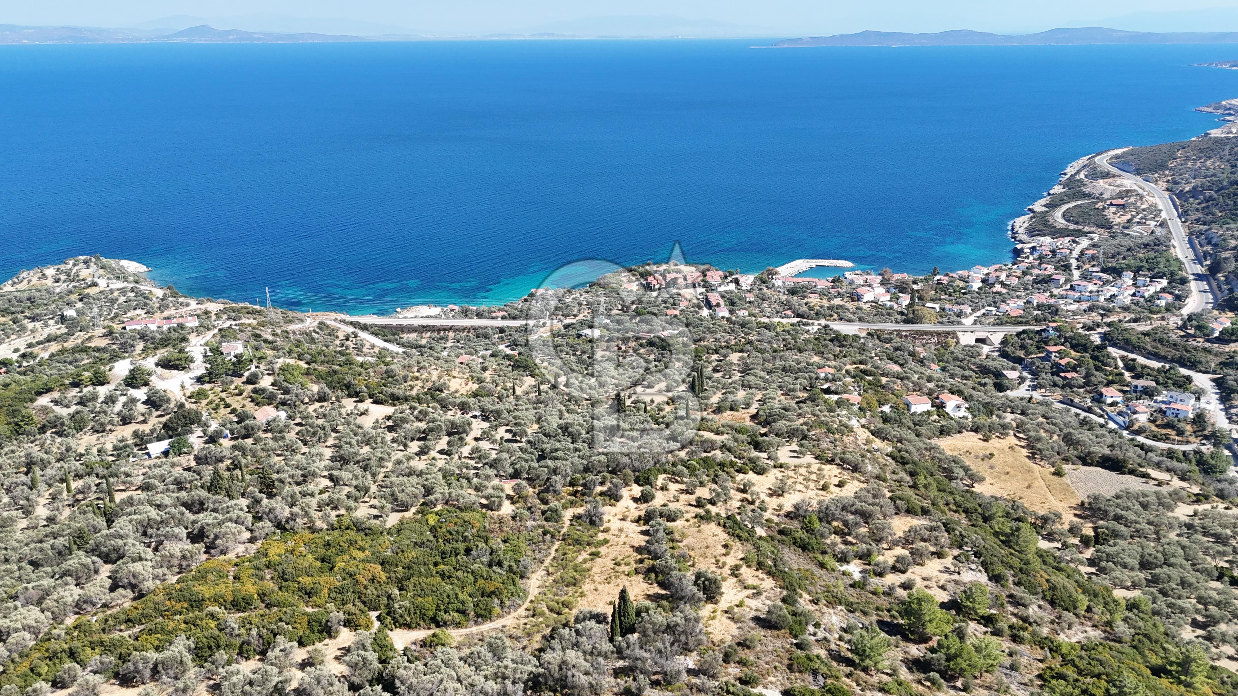 KARABURUN İNECİK'TE DENIZ MANZARALI SATILIK 5.820 M2 TARLA