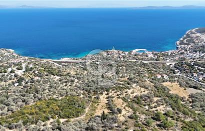 KARABURUN İNECİK'TE DENIZ MANZARALI SATILIK 5.820 M2 TARLA