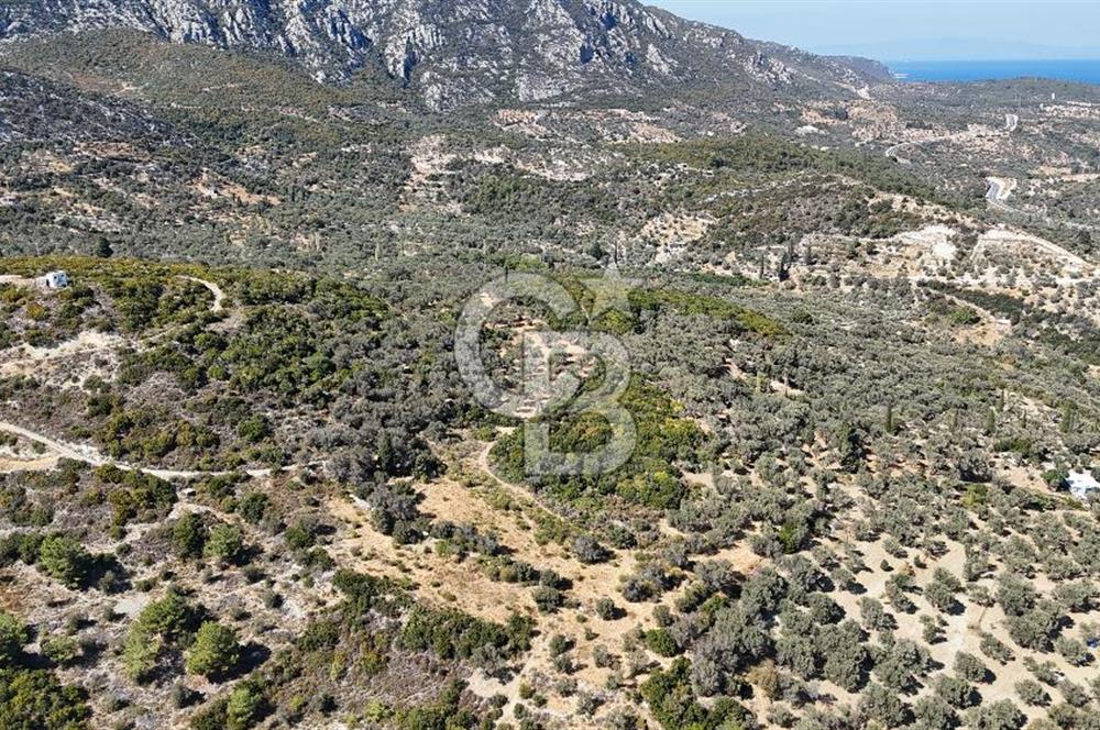 KARABURUN İNECİK'TE DENIZ MANZARALI SATILIK 5.820 M2 TARLA