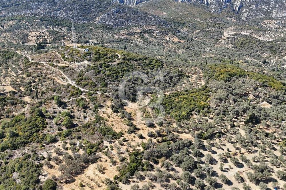 KARABURUN İNECİK'TE DENIZ MANZARALI SATILIK 5.820 M2 TARLA
