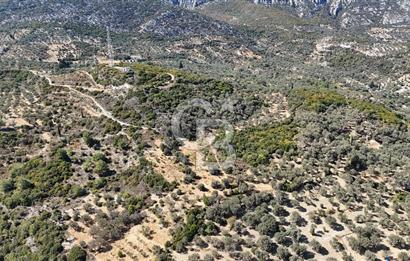KARABURUN İNECİK'TE DENIZ MANZARALI SATILIK 5.820 M2 TARLA