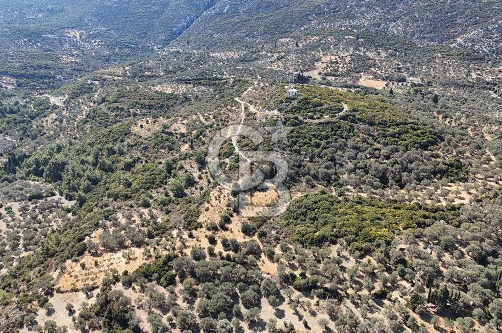 KARABURUN İNECİK'TE DENIZ MANZARALI SATILIK 5.820 M2 TARLA