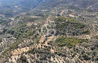 KARABURUN İNECİK'TE DENIZ MANZARALI SATILIK 5.820 M2 TARLA