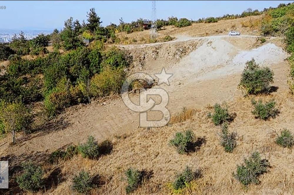 CB BLACK DAĞYENİCE SATILIK ANAYOLACEPHE 3164M2 FIRSATT ARAZİ*