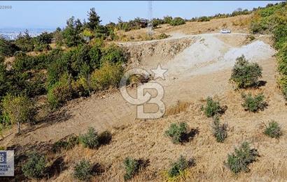 CB BLACK DAĞYENİCE SATILIK ANAYOLACEPHE 3164M2 FIRSATT ARAZİ*