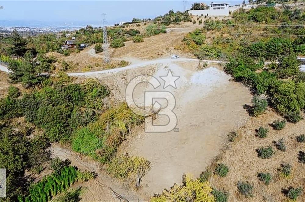 CB BLACK DAĞYENİCE SATILIK ANAYOLACEPHE 3164M2 FIRSATT ARAZİ*