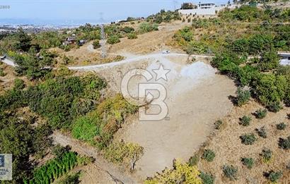 CB BLACK DAĞYENİCE SATILIK ANAYOLACEPHE 3164M2 FIRSATT ARAZİ*