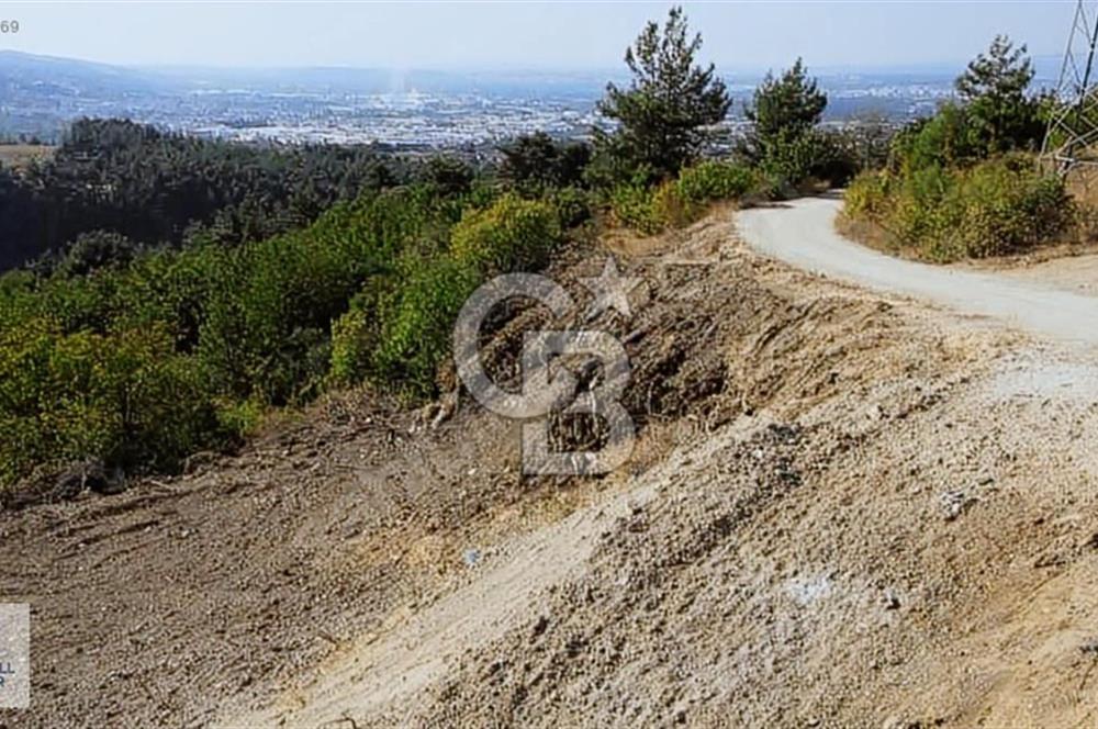 CB BLACK DAĞYENİCE SATILIK ANAYOLACEPHE 3164M2 FIRSATT ARAZİ*