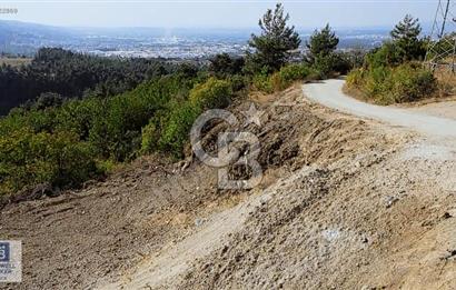 CB BLACK DAĞYENİCE SATILIK ANAYOLACEPHE 3164M2 FIRSATT ARAZİ*