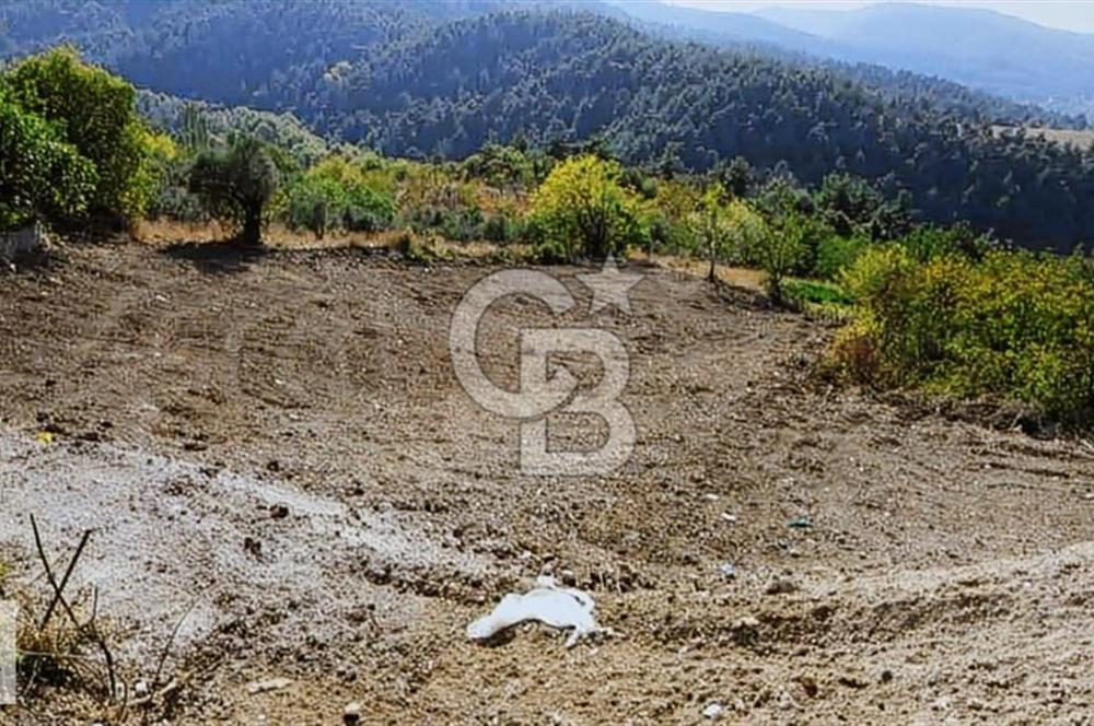 CB BLACK DAĞYENİCE SATILIK ANAYOLACEPHE 3164M2 FIRSATT ARAZİ*