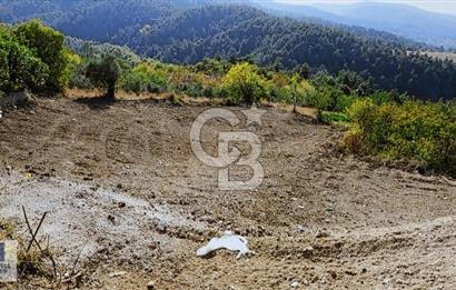 CB BLACK DAĞYENİCE SATILIK ANAYOLACEPHE 3164M2 FIRSATT ARAZİ*