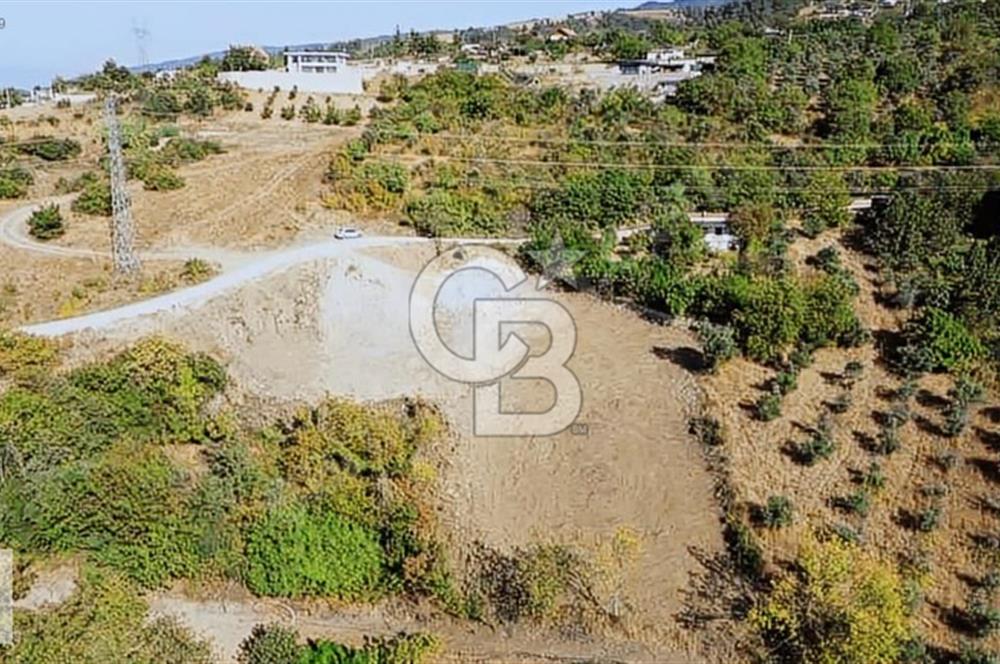 CB BLACK DAĞYENİCE SATILIK ANAYOLACEPHE 3164M2 FIRSATT ARAZİ*