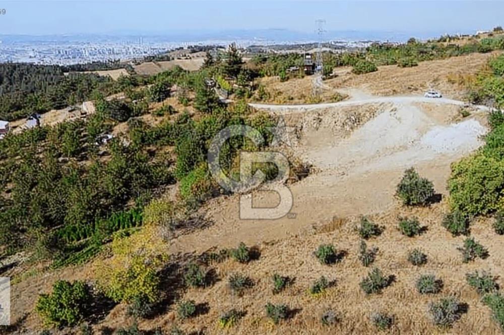 CB BLACK DAĞYENİCE SATILIK ANAYOLACEPHE 3164M2 FIRSATT ARAZİ*