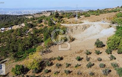 CB BLACK DAĞYENİCE SATILIK ANAYOLACEPHE 3164M2 FIRSATT ARAZİ*