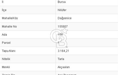 CB BLACK DAĞYENİCE SATILIK ANAYOLACEPHE 3164M2 FIRSATT ARAZİ*