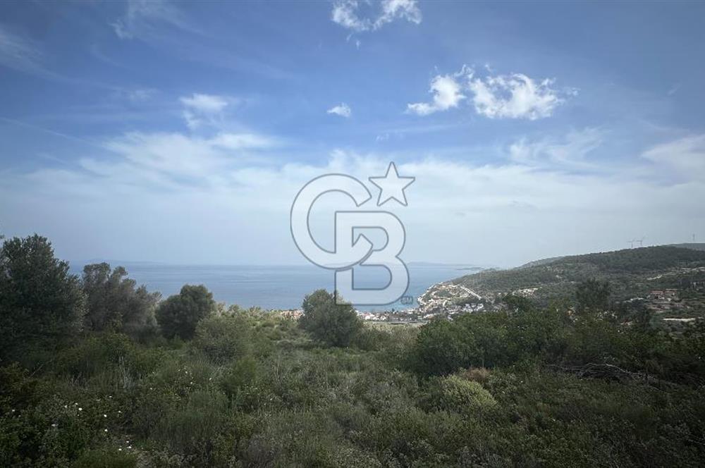 KARABURUN İNECİK'TE DENIZ MANZARALI SATILIK 5.820 M2 TARLA