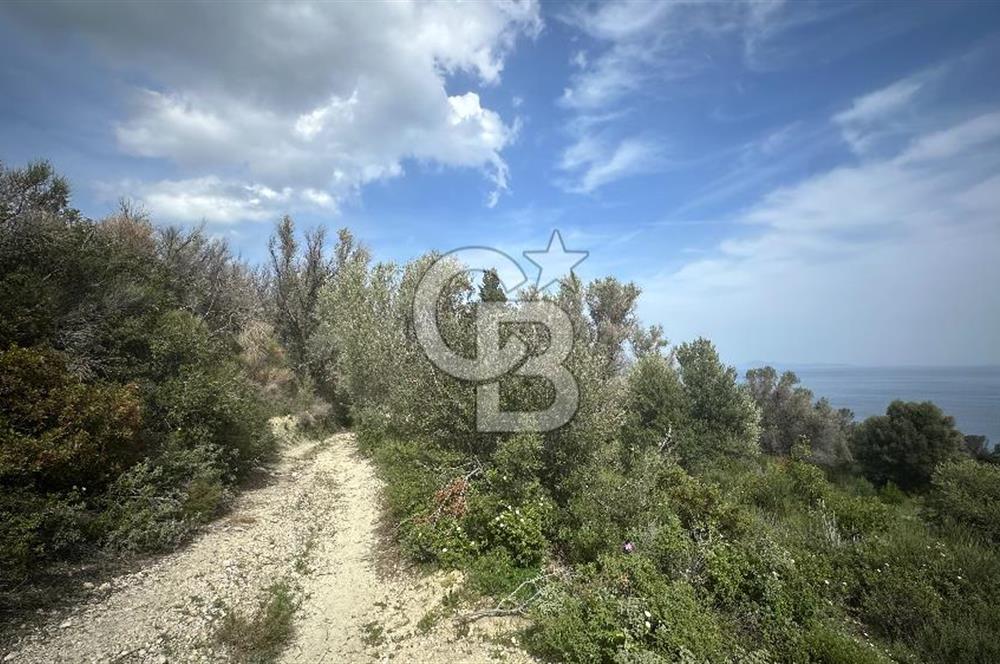 KARABURUN İNECİK'TE DENIZ MANZARALI SATILIK 5.820 M2 TARLA