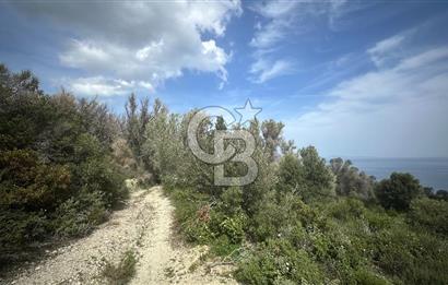 KARABURUN İNECİK'TE DENIZ MANZARALI SATILIK 5.820 M2 TARLA
