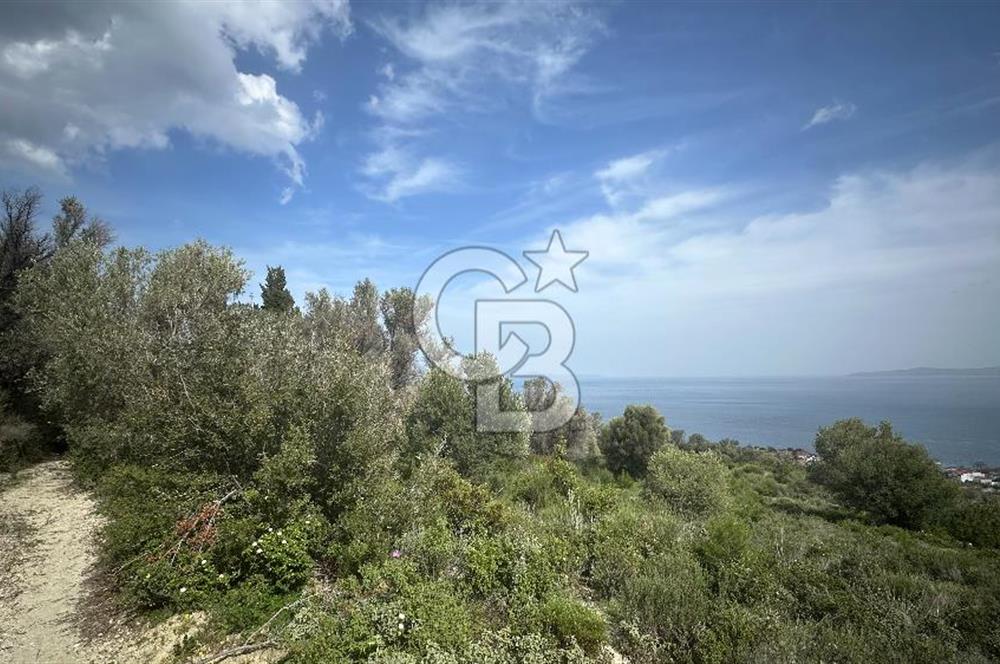KARABURUN İNECİK'TE DENIZ MANZARALI SATILIK 5.820 M2 TARLA