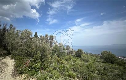 KARABURUN İNECİK'TE DENIZ MANZARALI SATILIK 5.820 M2 TARLA