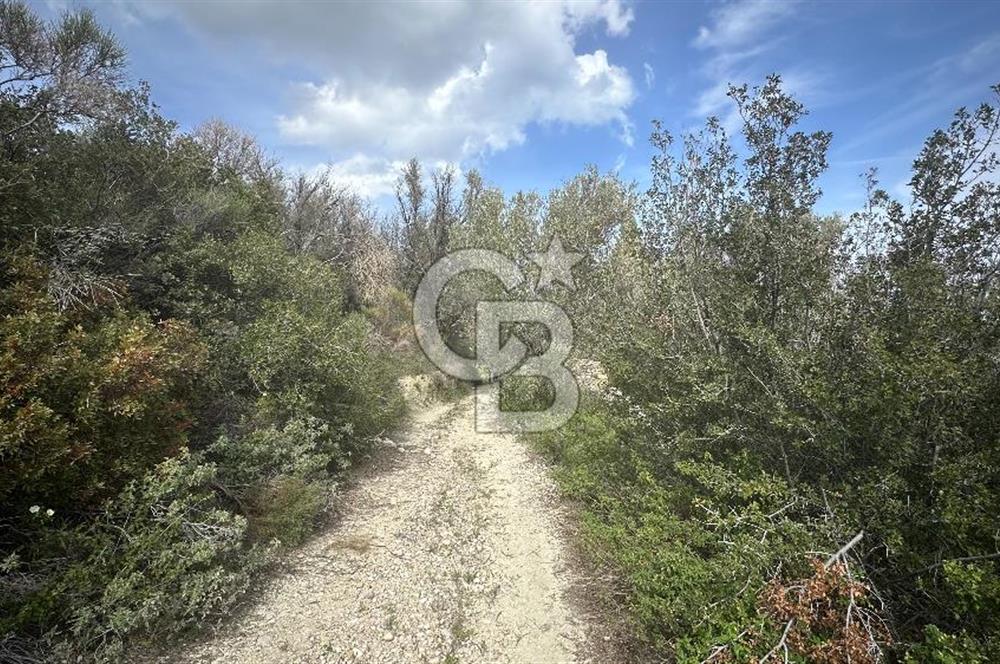 KARABURUN İNECİK'TE DENIZ MANZARALI SATILIK 5.820 M2 TARLA