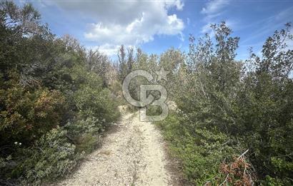 KARABURUN İNECİK'TE DENIZ MANZARALI SATILIK 5.820 M2 TARLA